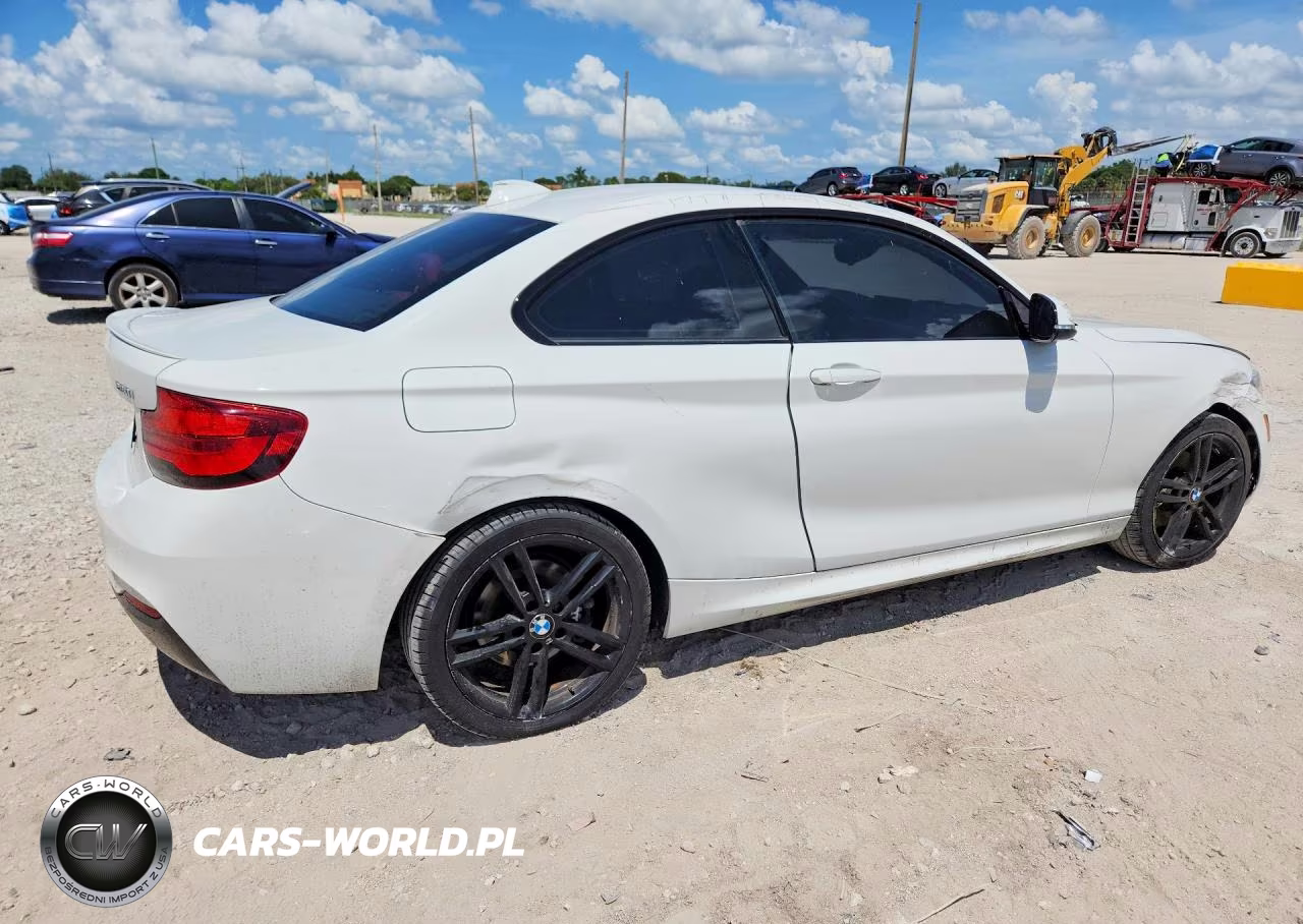 2020 BMW 230Xi VIN:WBA2J3C06L7E13975 - 3