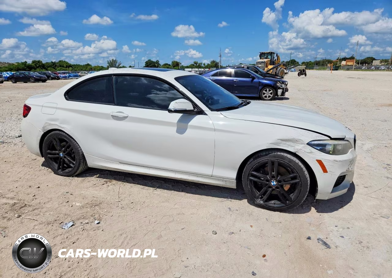 2020 BMW 230Xi VIN:WBA2J3C06L7E13975 - 4