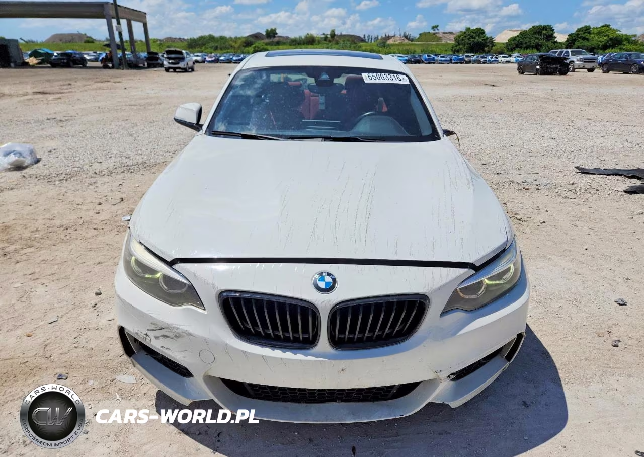 2020 BMW 230Xi VIN:WBA2J3C06L7E13975 - 5