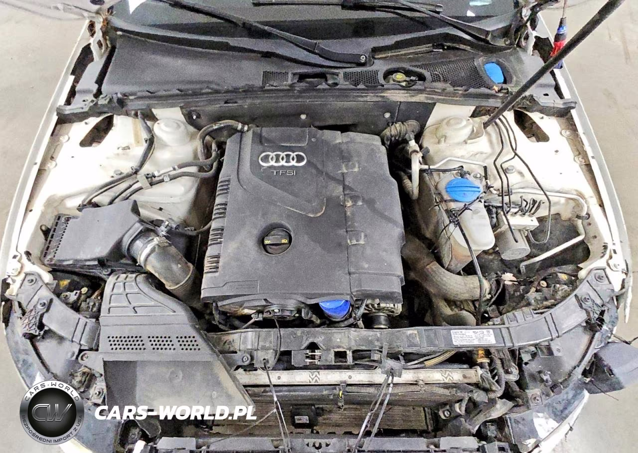 2014 Audi A4 Premium VIN:WAUBFAFL8EN039313 - 11