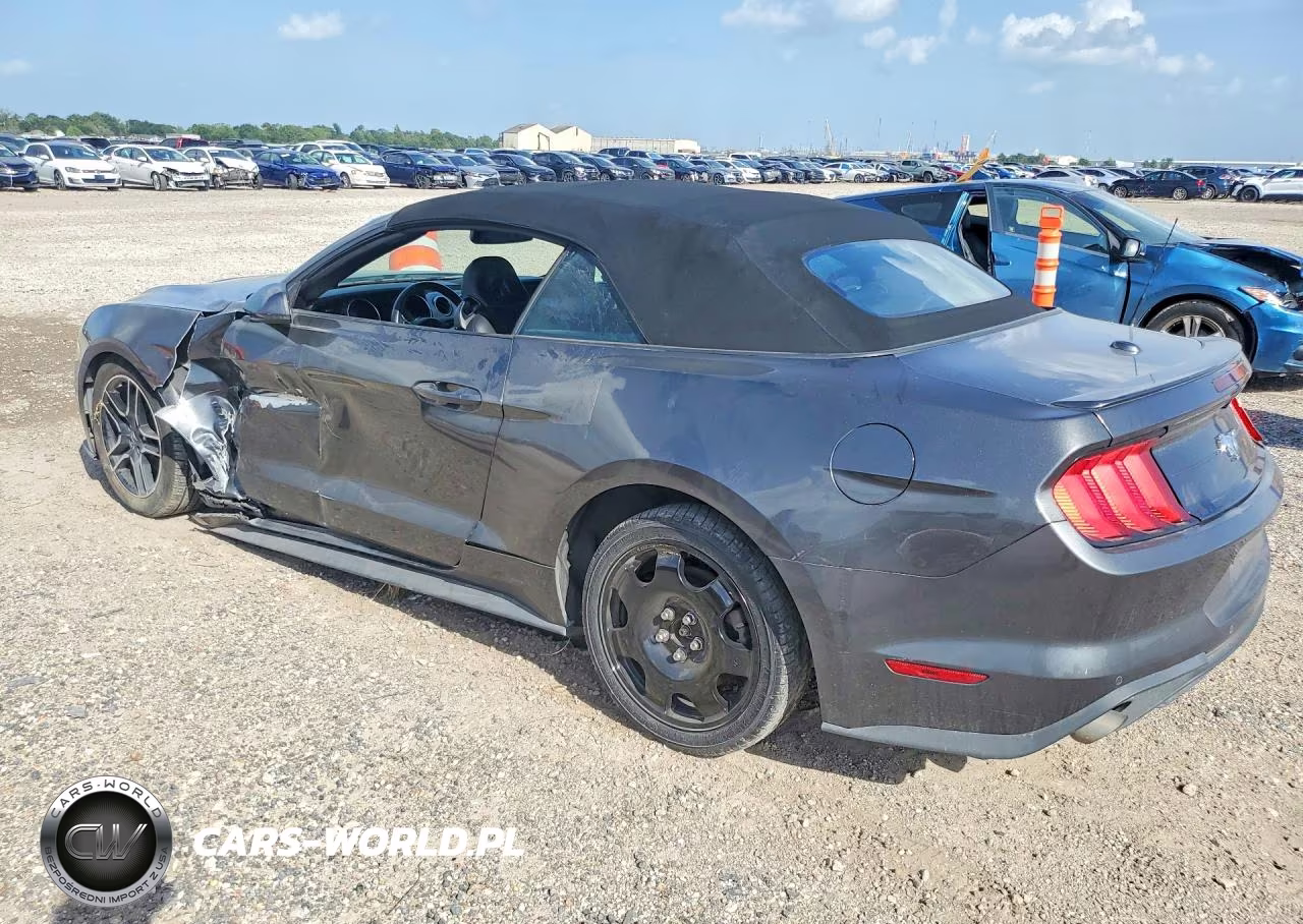 2020 Ford Mustang VIN:1FATP8UH7L5101573 - 2