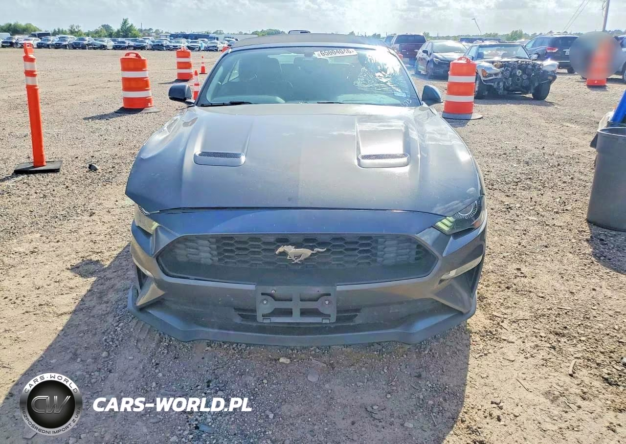 2020 Ford Mustang VIN:1FATP8UH7L5101573 - 5