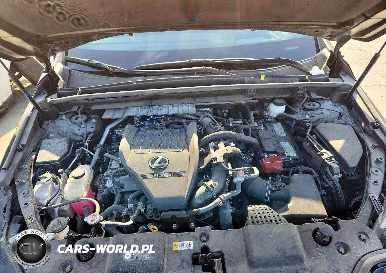 2025 Lexus Nx 350 F Sport Handling VIN:2T2KGCEZ5SC064035 - 12