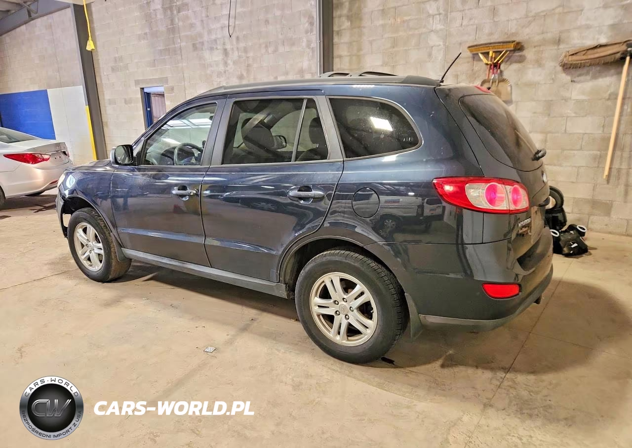 2010 Hyundai Santa Fe Gls VIN:5NMSGDAB8AH412891 - 2