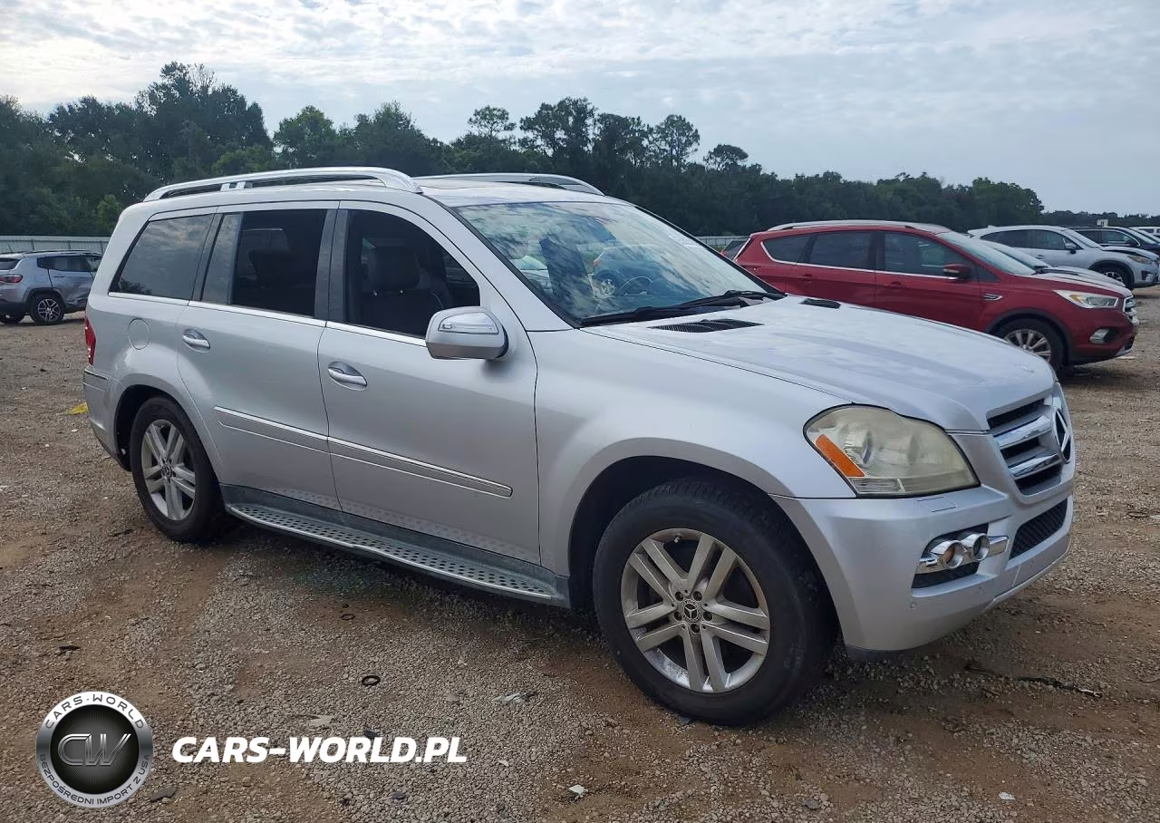 2010 Mercedes-Benz Gl 450 4Matic VIN:4JGBF7BEXAA614196 - 4
