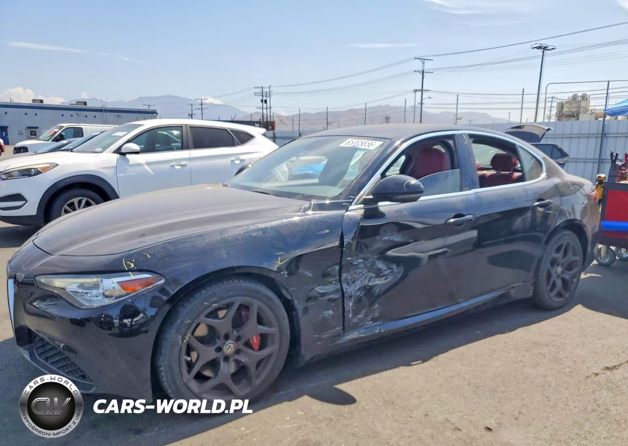 2019 Alfa Romeo Giulia VIN:ZARFAMAN5K7621162 - 1