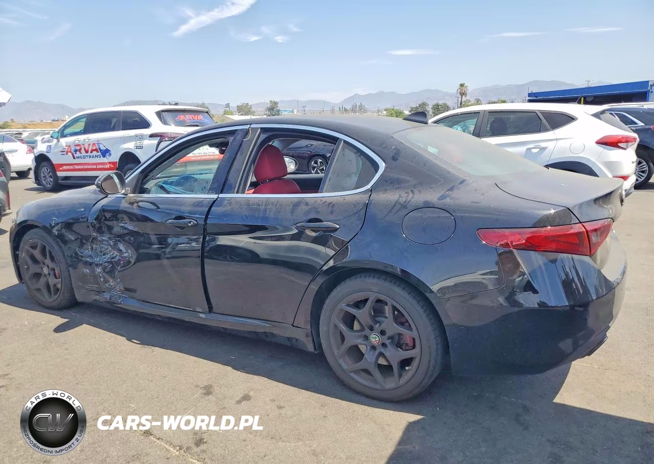 2019 Alfa Romeo Giulia VIN:ZARFAMAN5K7621162 - 2