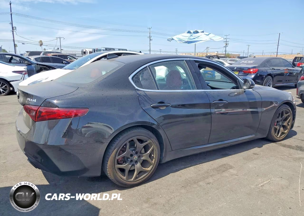 2019 Alfa Romeo Giulia VIN:ZARFAMAN5K7621162 - 3