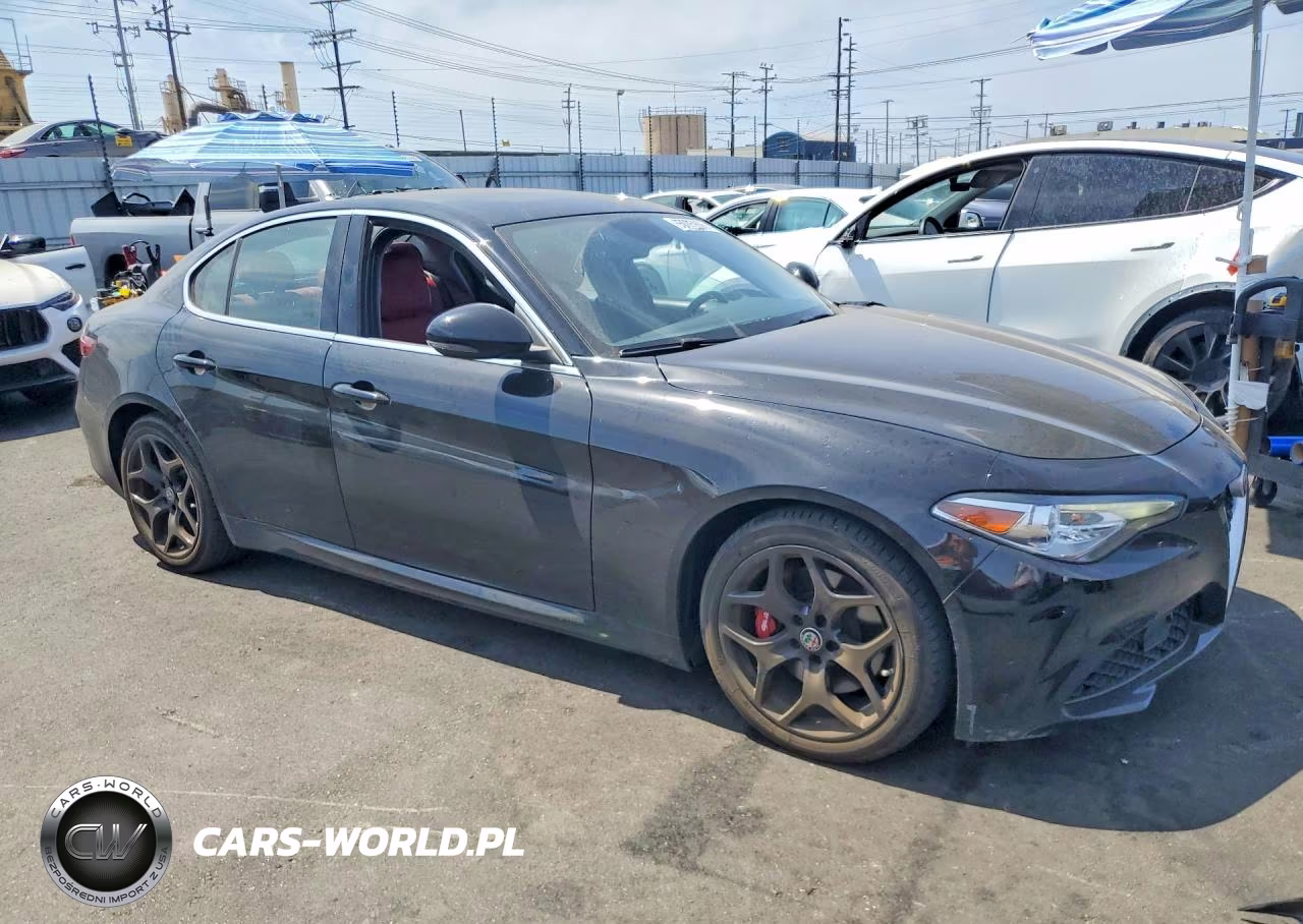 2019 Alfa Romeo Giulia VIN:ZARFAMAN5K7621162 - 4