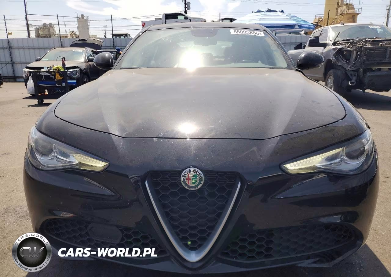 2019 Alfa Romeo Giulia VIN:ZARFAMAN5K7621162 - 5