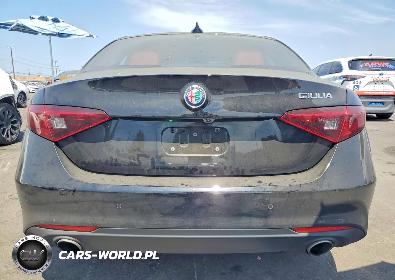 2019 Alfa Romeo Giulia VIN:ZARFAMAN5K7621162 - 6