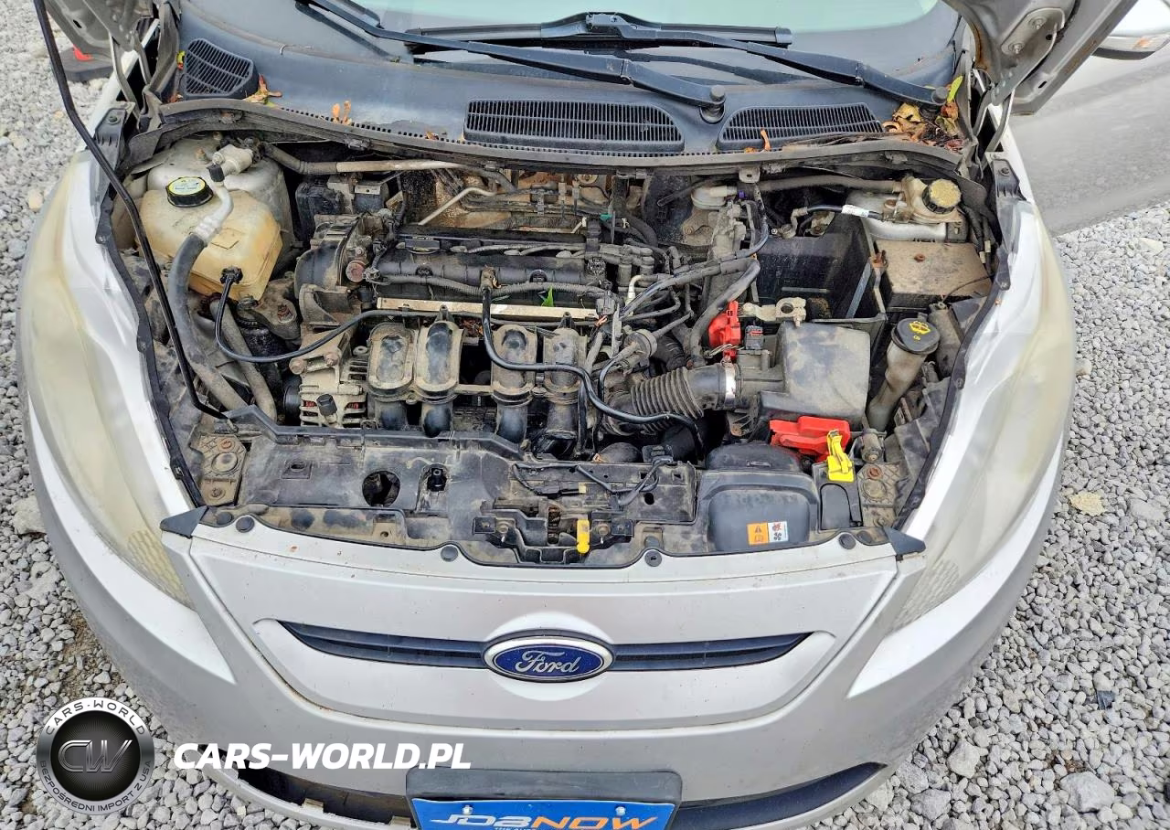 2013 Ford Fiesta Se VIN:3FADP4EJ8DM164384 - 11