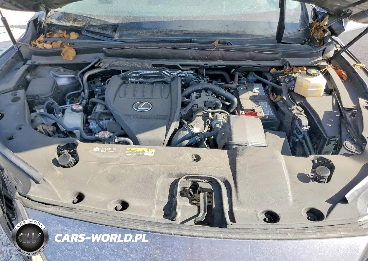 2023 Lexus Rx 350 Luxury VIN:2T2BAMBA0PC019789 - 12