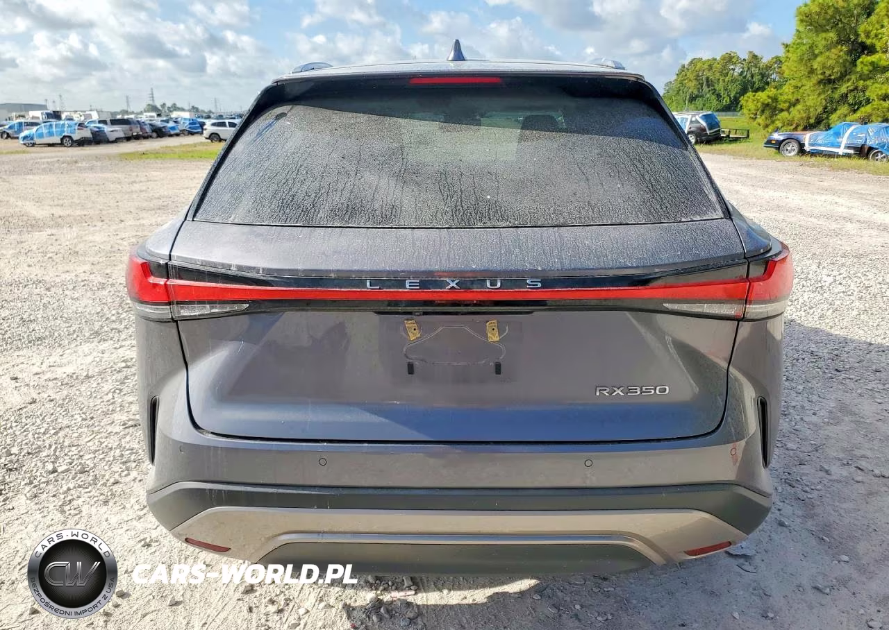 2023 Lexus Rx 350 Luxury VIN:2T2BAMBA0PC019789 - 6