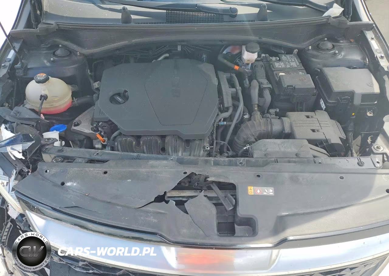 2023 Kia Sportage Sx VIN:5XYK43AF4PG120938 - 12
