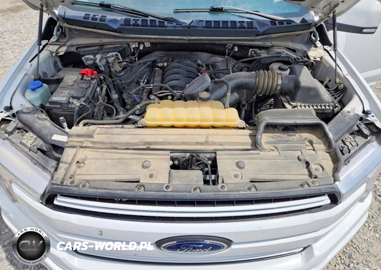 2019 Ford F-150 VIN:1FTEW1E56KKE24496 - 11