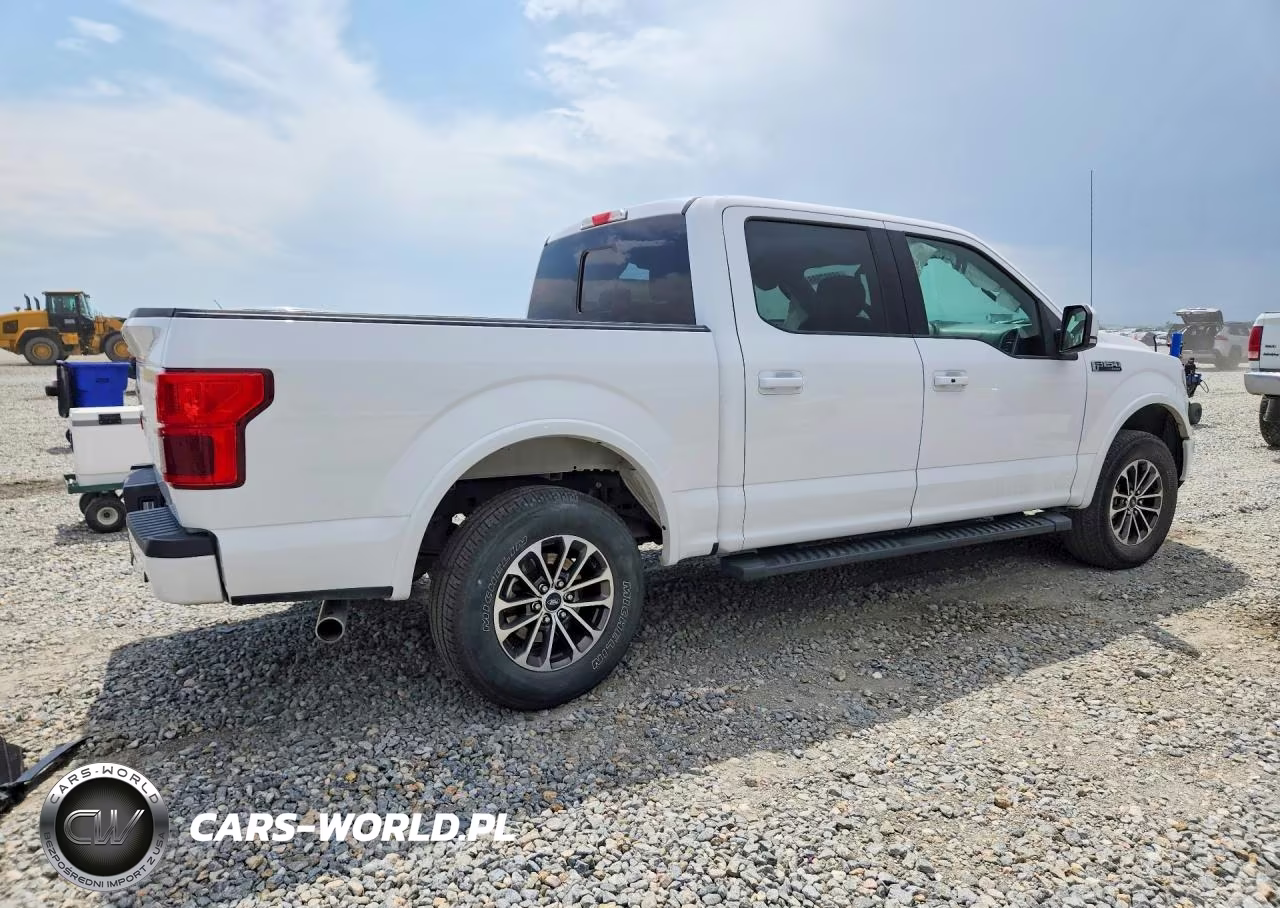 2019 Ford F-150 VIN:1FTEW1E56KKE24496 - 3