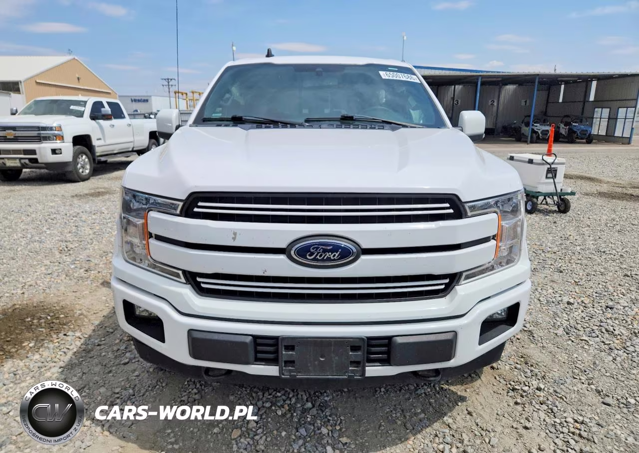 2019 Ford F-150 VIN:1FTEW1E56KKE24496 - 5