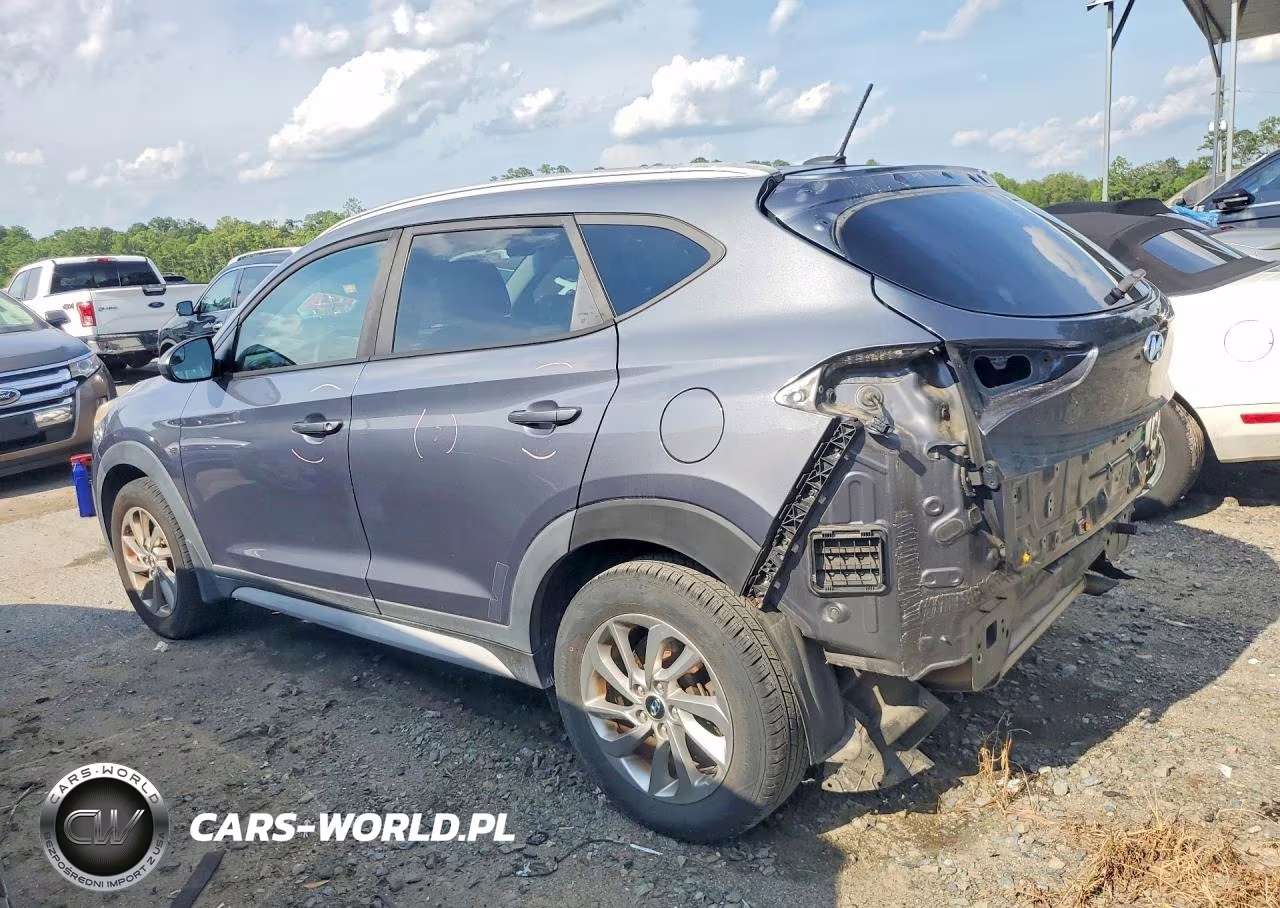2017 Hyundai Tucson Se VIN:KM8J33A40HU596435 - 2