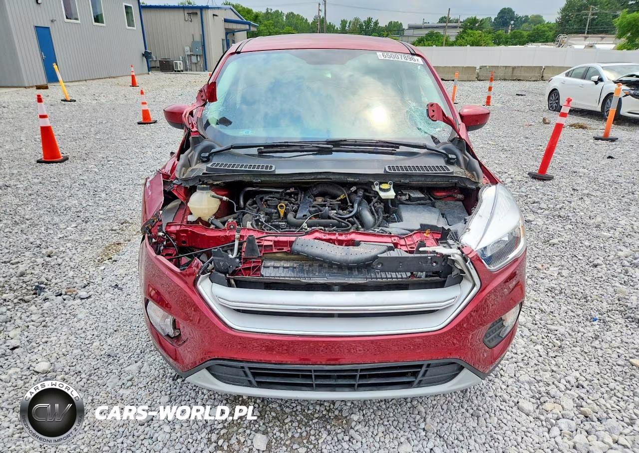 2019 Ford Escape Se VIN:1FMCU0GDXKUA68761 - 5