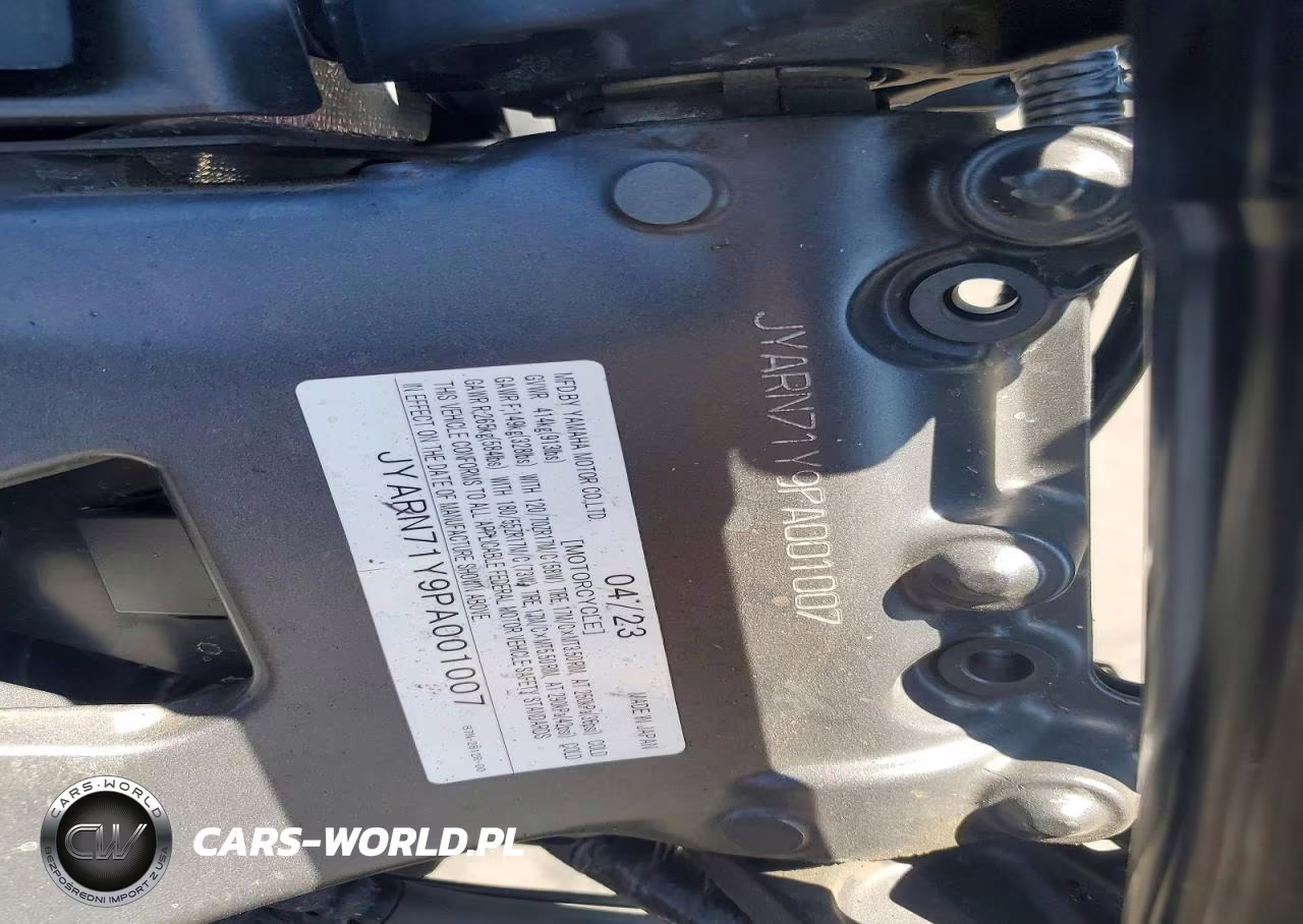 2023 Yamaha Mt09 C VIN:JYARN71Y9PA001007 - 9