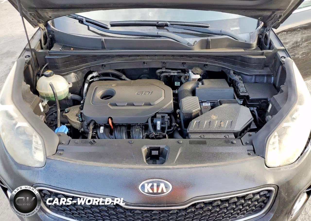 2017 Kia Sportage Lx VIN:KNDPMCAC2H7185197 - 12