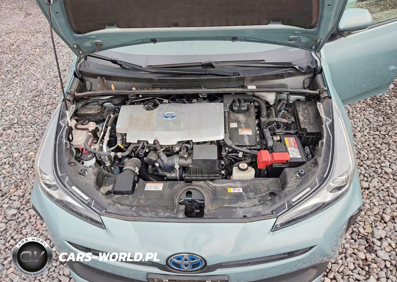 2021 Toyota Prius Le VIN:JTDKAMFU2M3134746 - 11