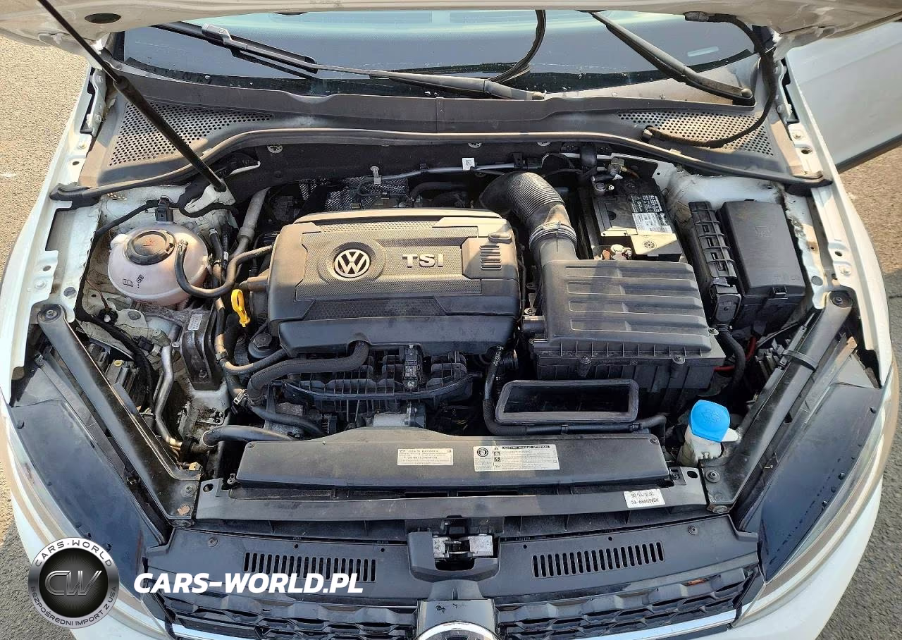 2019 Volkswagen Golf Alltrack Tsi S-Tsi Se-Tsi Sel VIN:3VWM17AU3KM500742 - 11