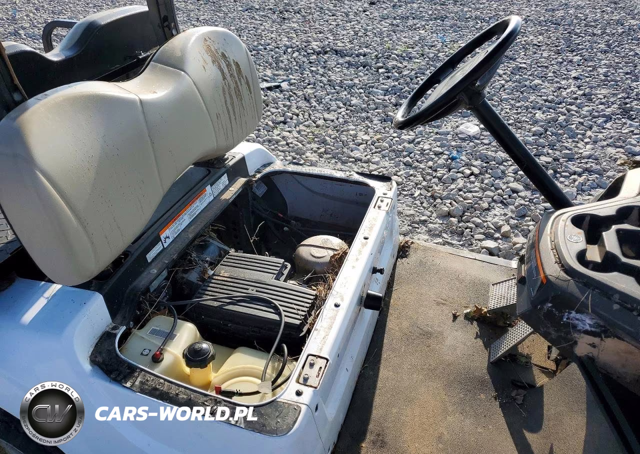 2017 Yamaha Golf Cart VIN:00000000J0A009264 - 5