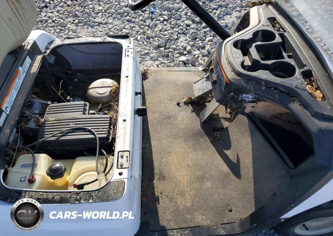 2017 Yamaha Golf Cart VIN:00000000J0A009264 - 9
