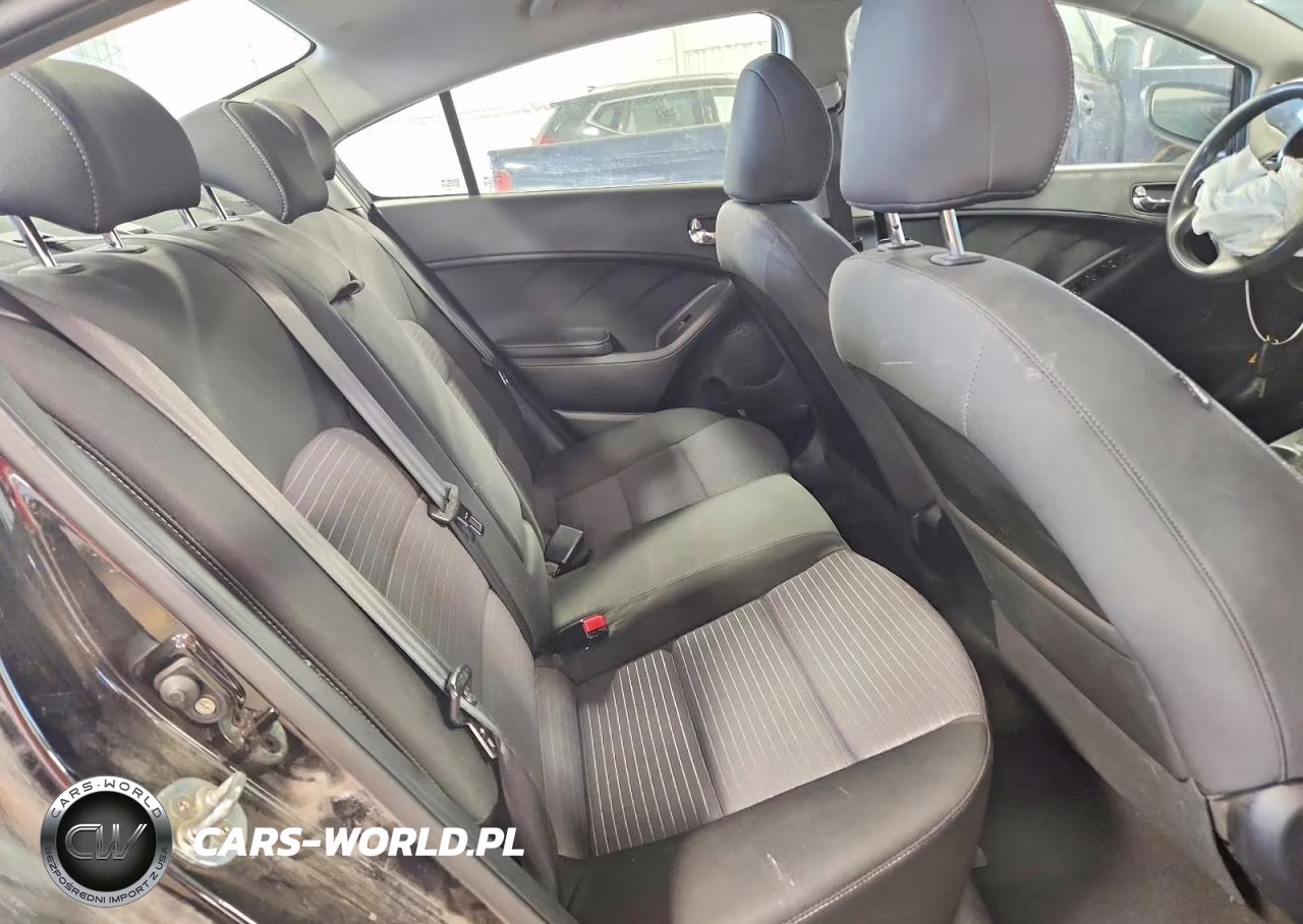 2016 Kia Forte Lx VIN:KNAFX4A63G5608914 - 10