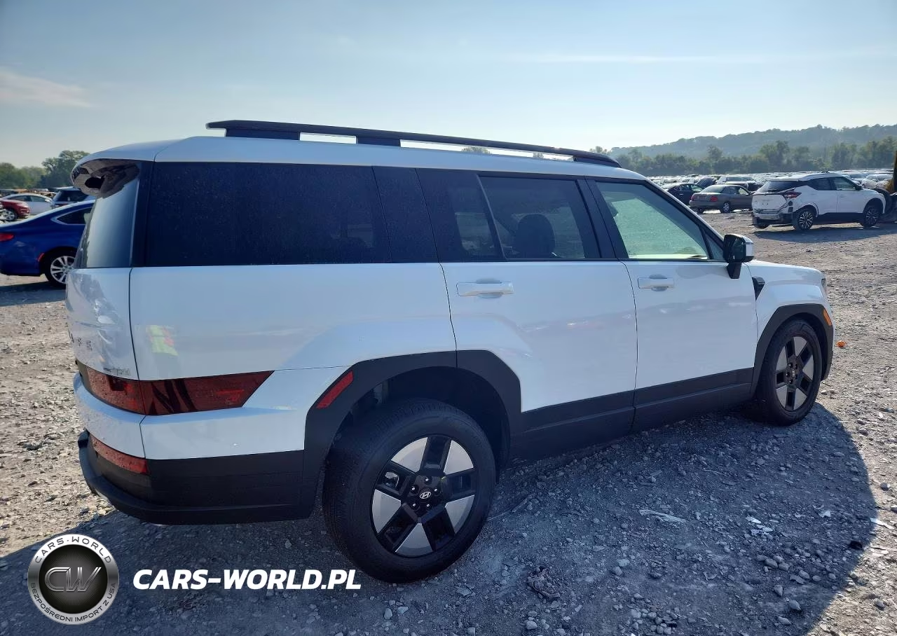 2025 Hyundai Santa Fe Sel VIN:5NMP2DG12SH058855 - 3