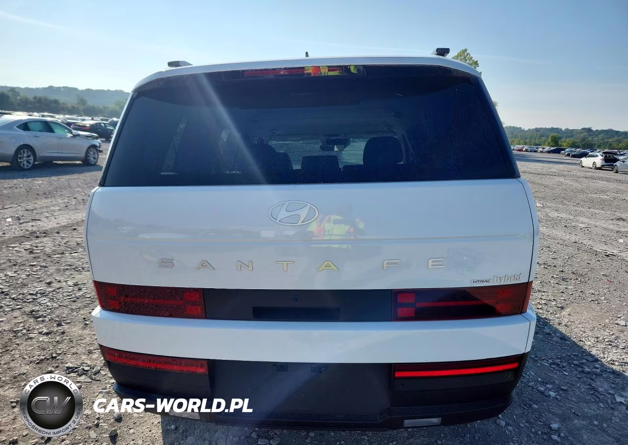 2025 Hyundai Santa Fe Sel VIN:5NMP2DG12SH058855 - 6