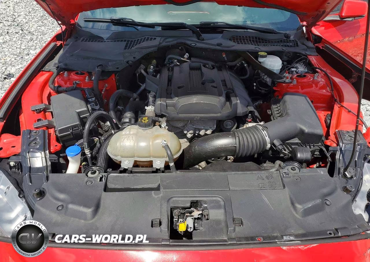 2020 Ford Mustang VIN:1FATP8UH5L5137696 - 11
