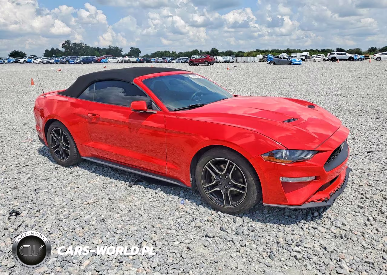 2020 Ford Mustang VIN:1FATP8UH5L5137696 - 4