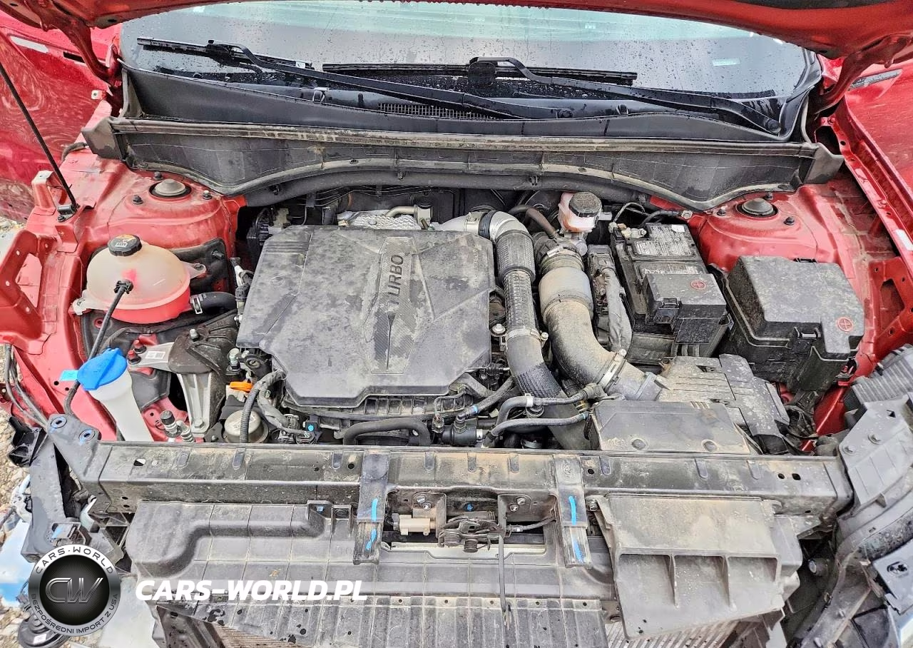 2022 Kia Sorento Sx VIN:5XYRKDLF5NG106034 - 12