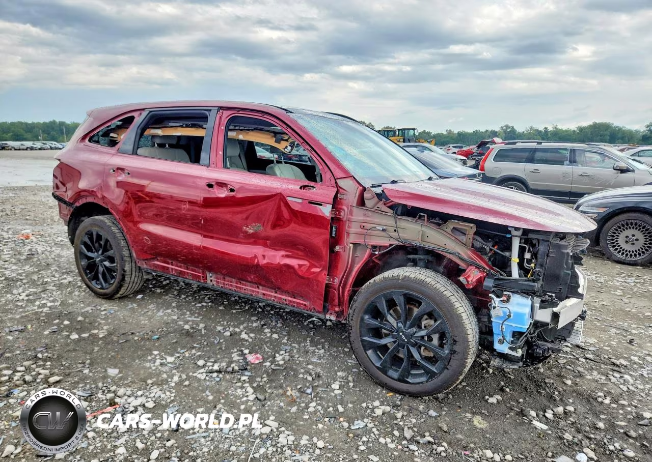 2022 Kia Sorento Sx VIN:5XYRKDLF5NG106034 - 4