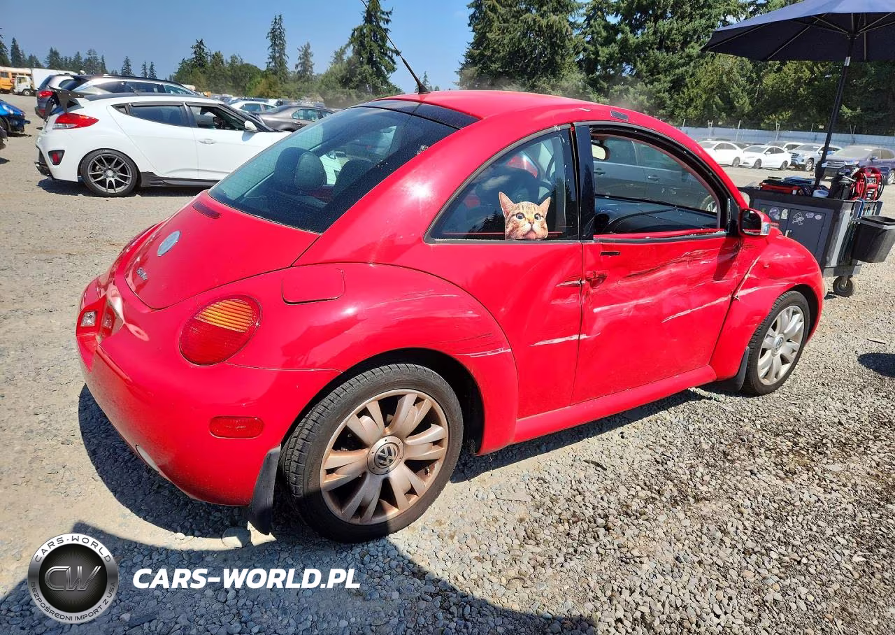 2003 Volkswagen New Beetle Gls VIN:3VWCD21C43M445037 - 3
