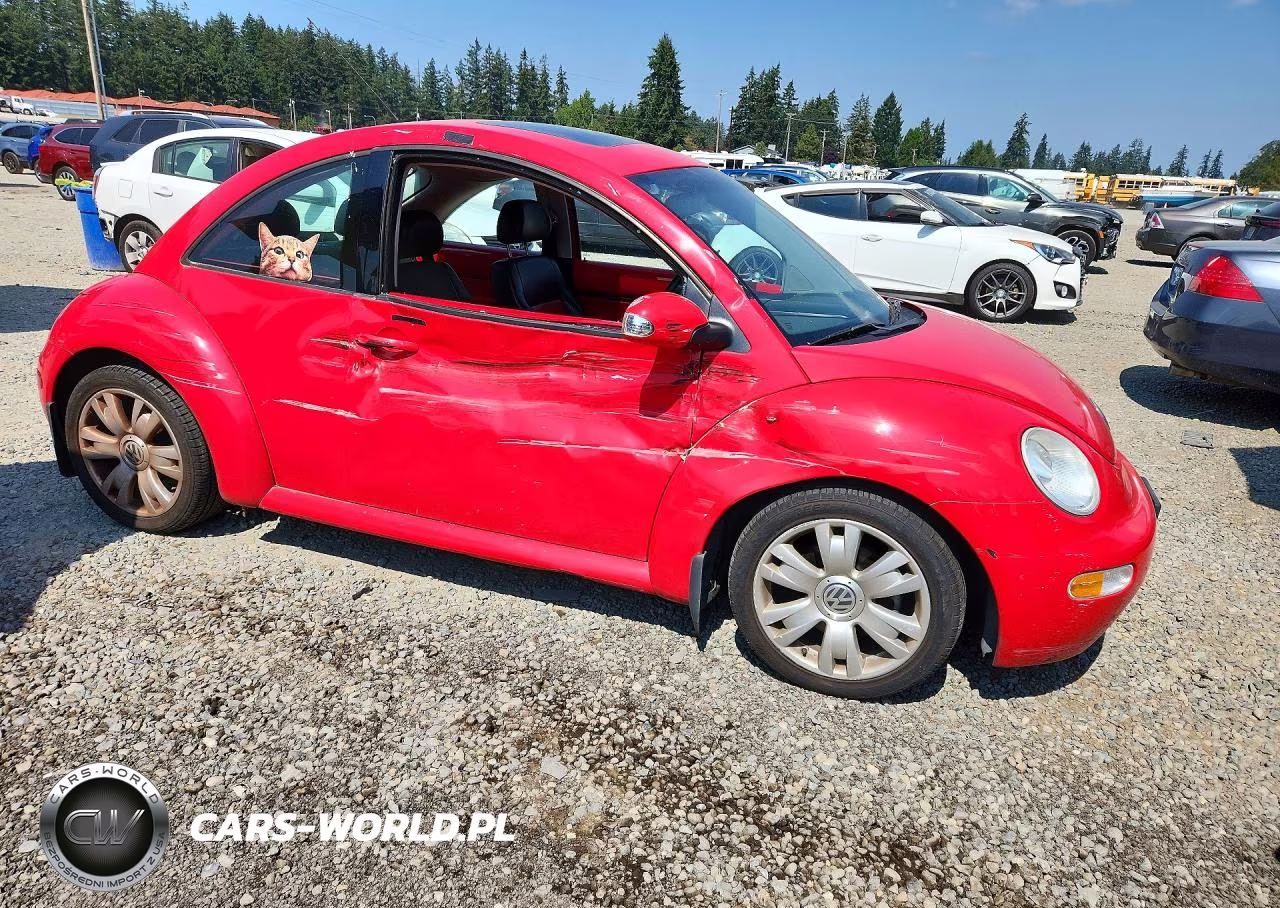 2003 Volkswagen New Beetle Gls VIN:3VWCD21C43M445037 - 4