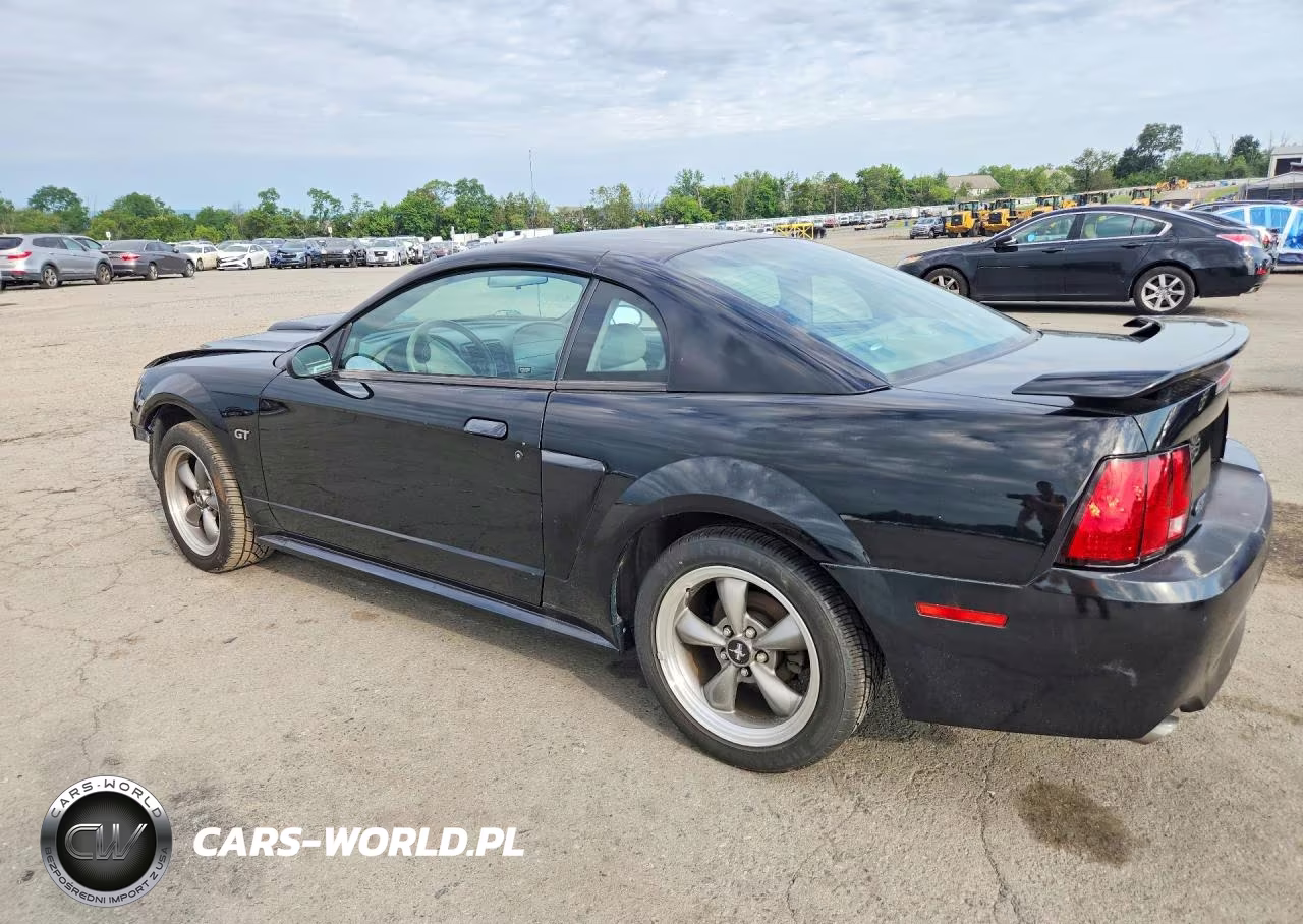 2003 Ford Mustang Gt VIN:1FAFP42X23F307247 - 2