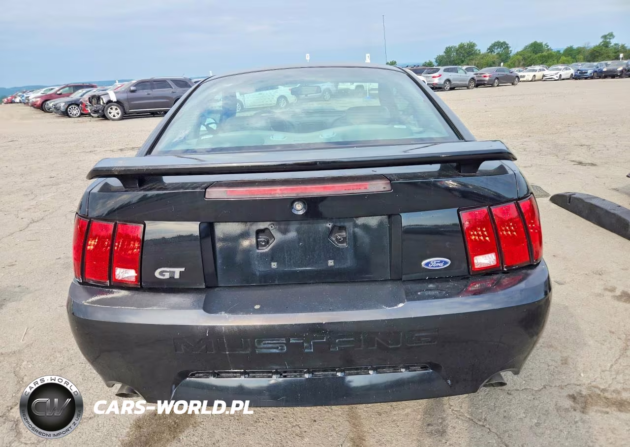 2003 Ford Mustang Gt VIN:1FAFP42X23F307247 - 6