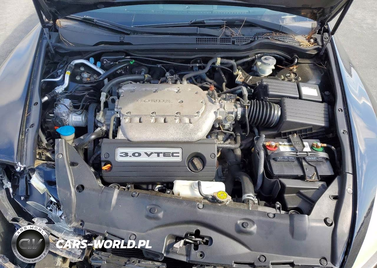 2005 Honda Accord Ex VIN:1HGCM82685A002406 - 11