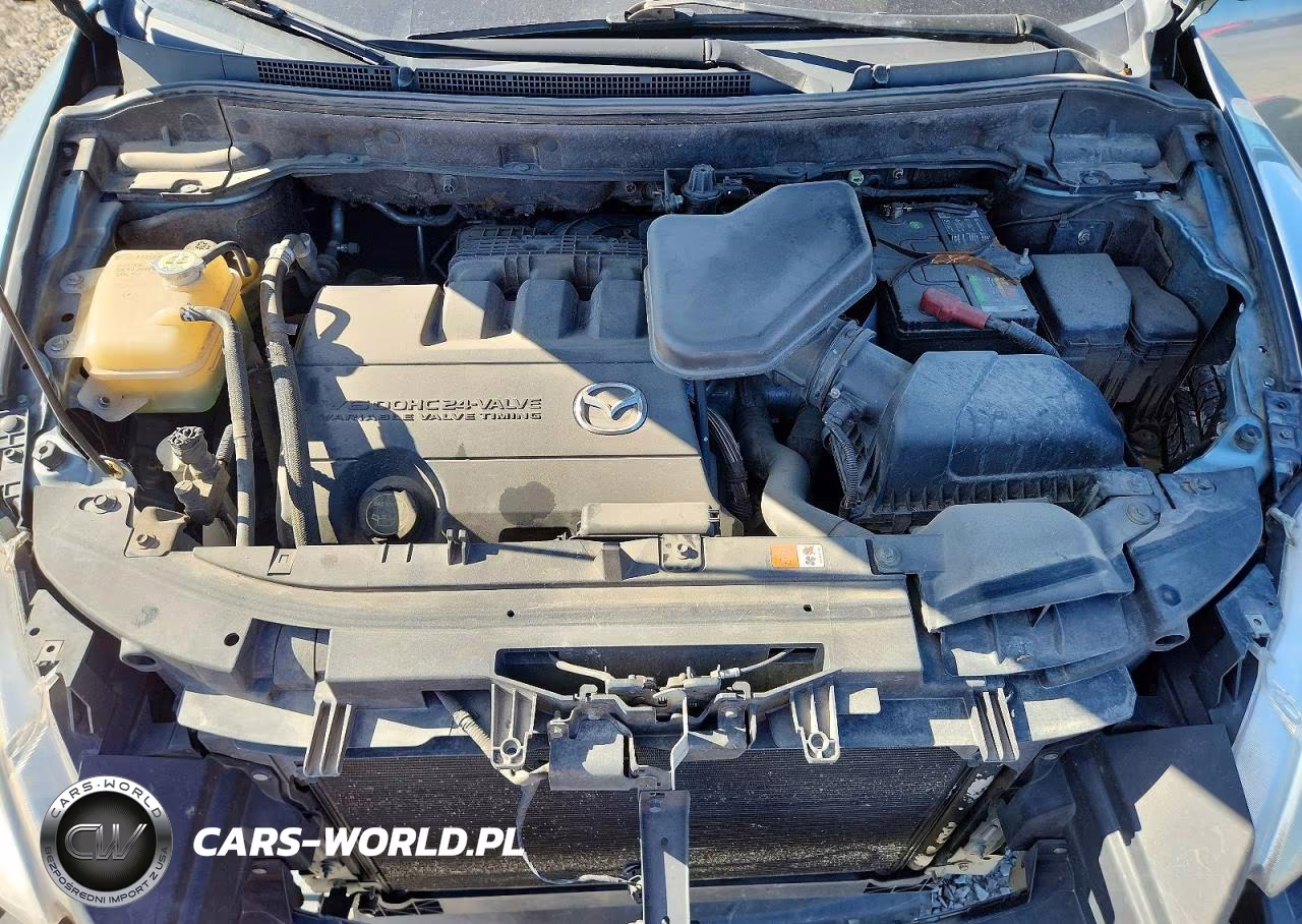 2010 Mazda Cx-9 VIN:JM3TB3MA6A0208629 - 11