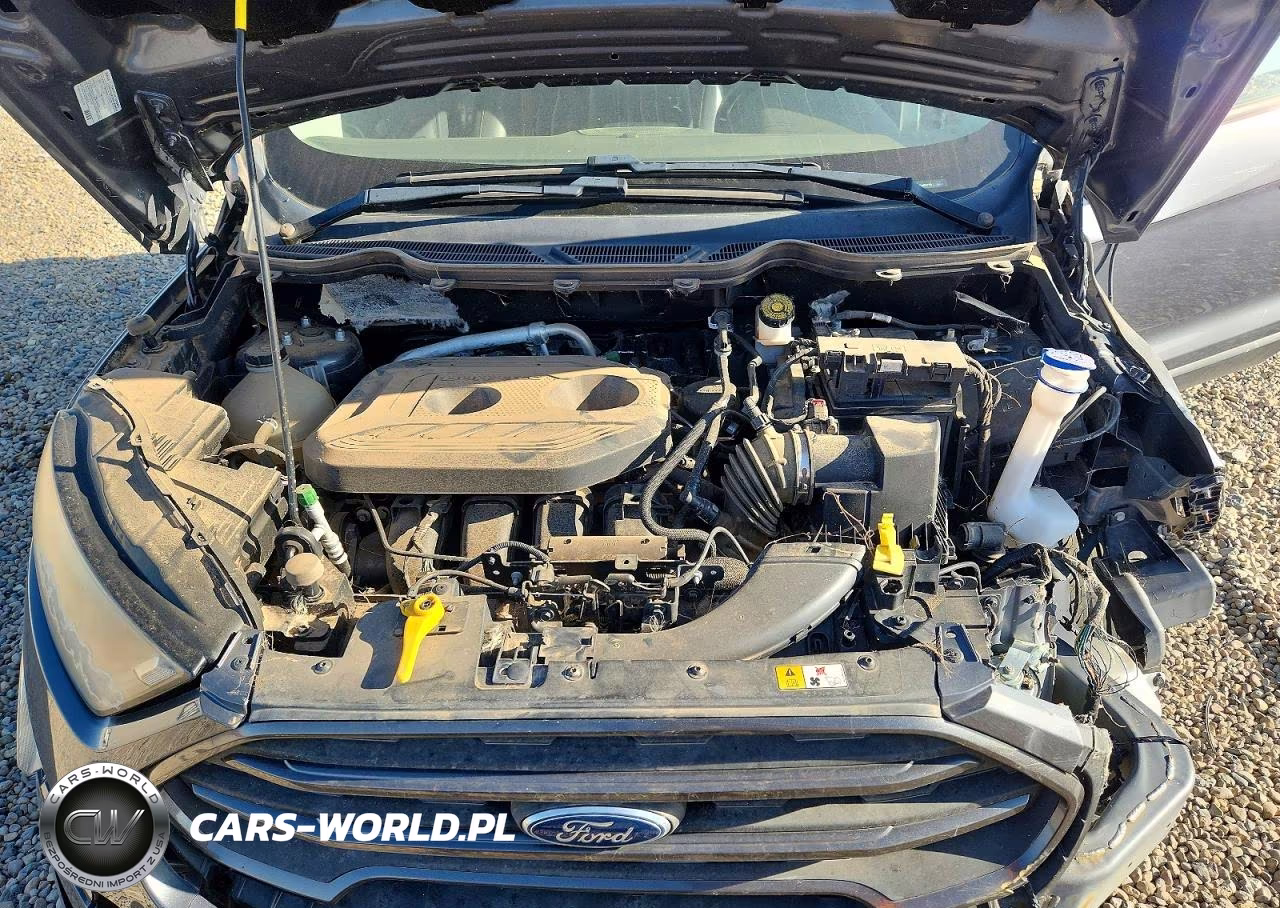 2018 Ford Ecosport Ses VIN:MAJ6P1CLXJC183110 - 11