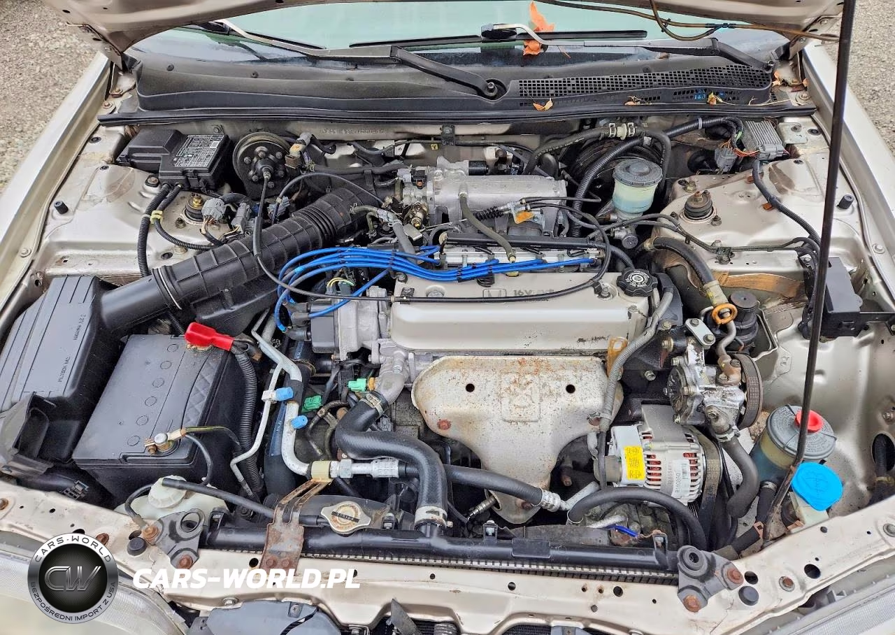 1997 Honda Accord Lx VIN:1HGCE1821VA000439 - 11