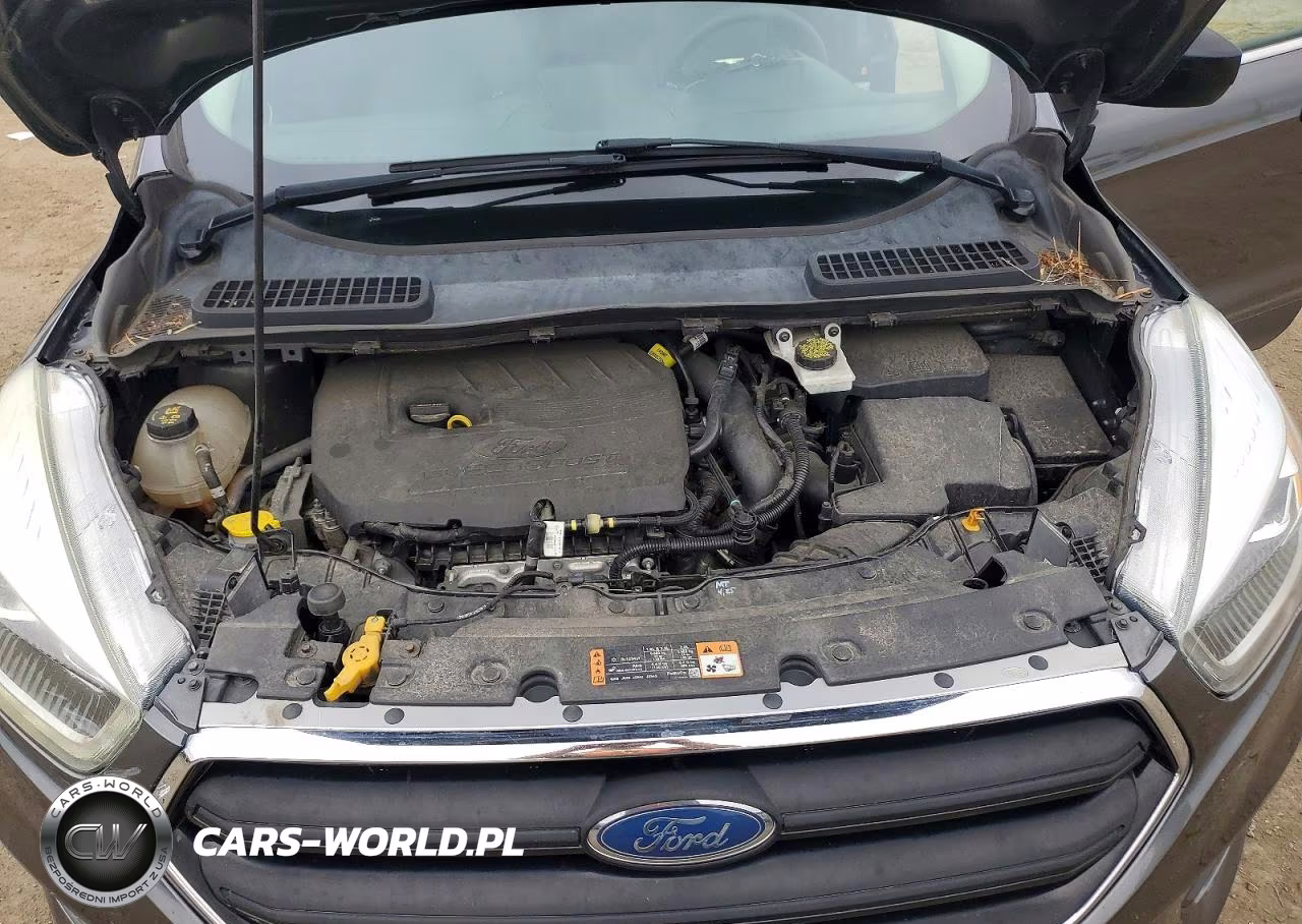2017 Ford Escape Se VIN:1FMCU9GD9HUC47886 - 12