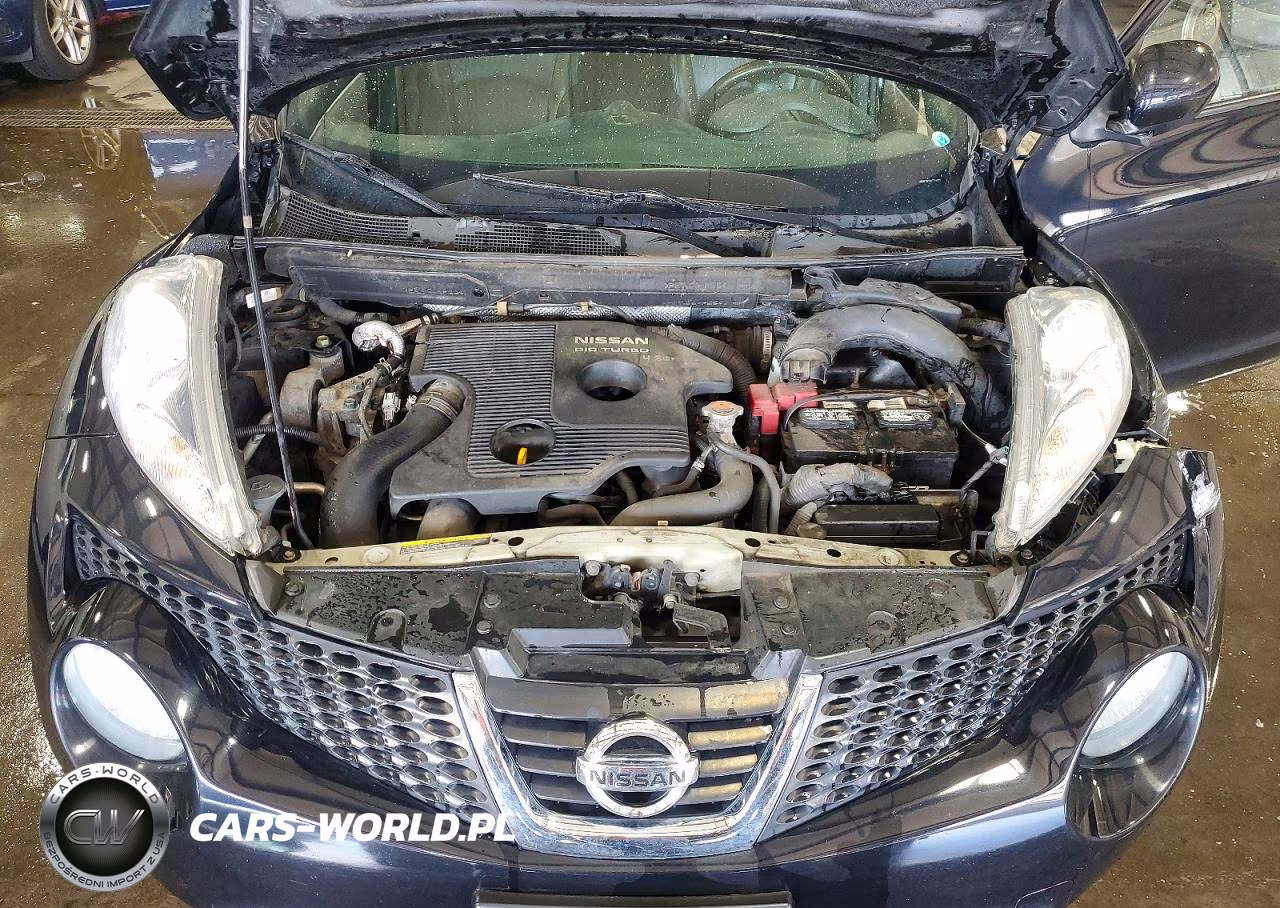 2013 Nissan Juke S VIN:JN8AF5MVXDT226979 - 11