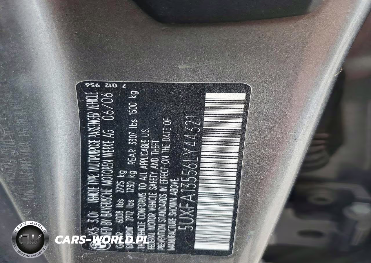 2006 BMW X5 3.0I VIN:5UXFA13556LY44321 - 13