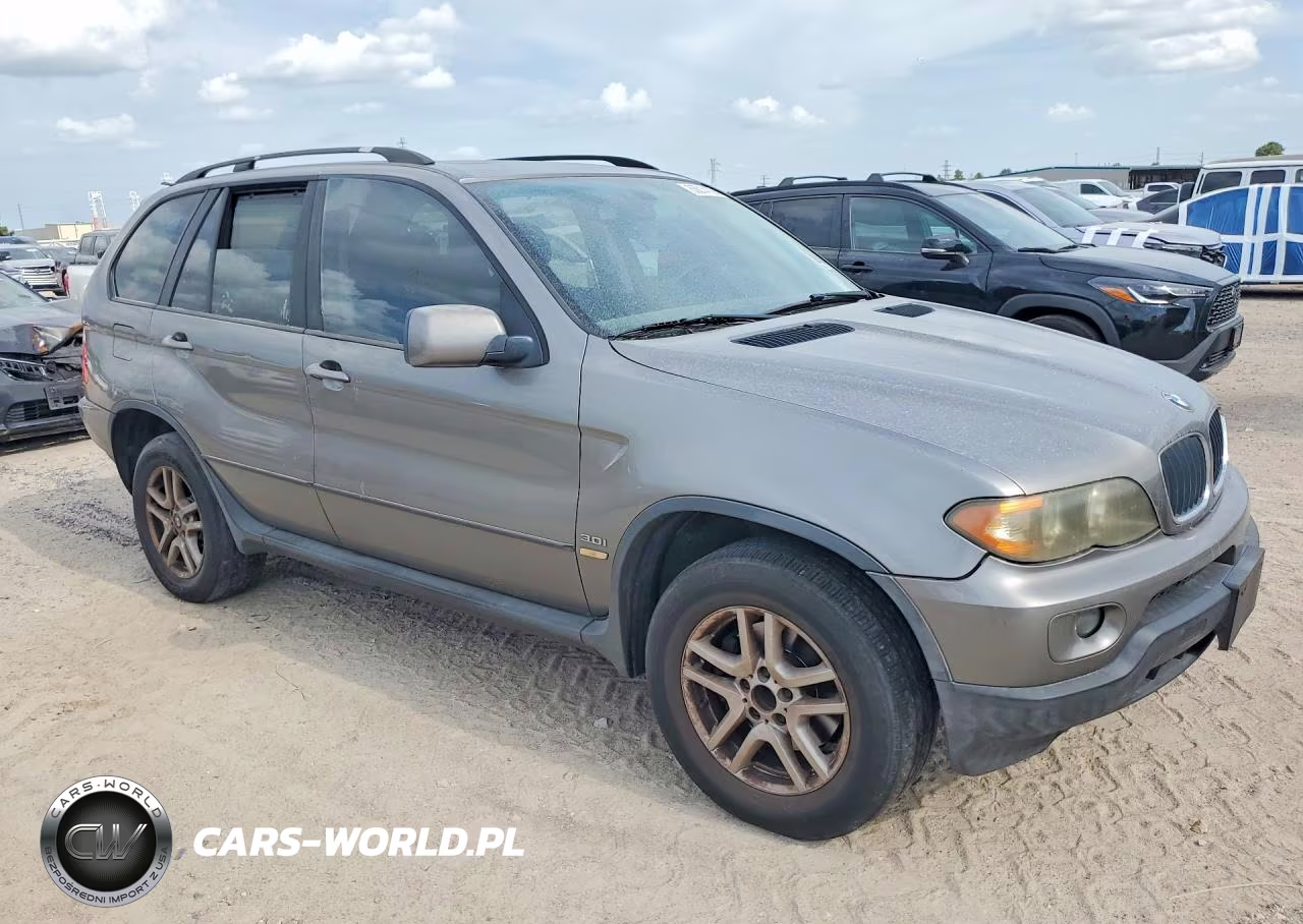 2006 BMW X5 3.0I VIN:5UXFA13556LY44321 - 4