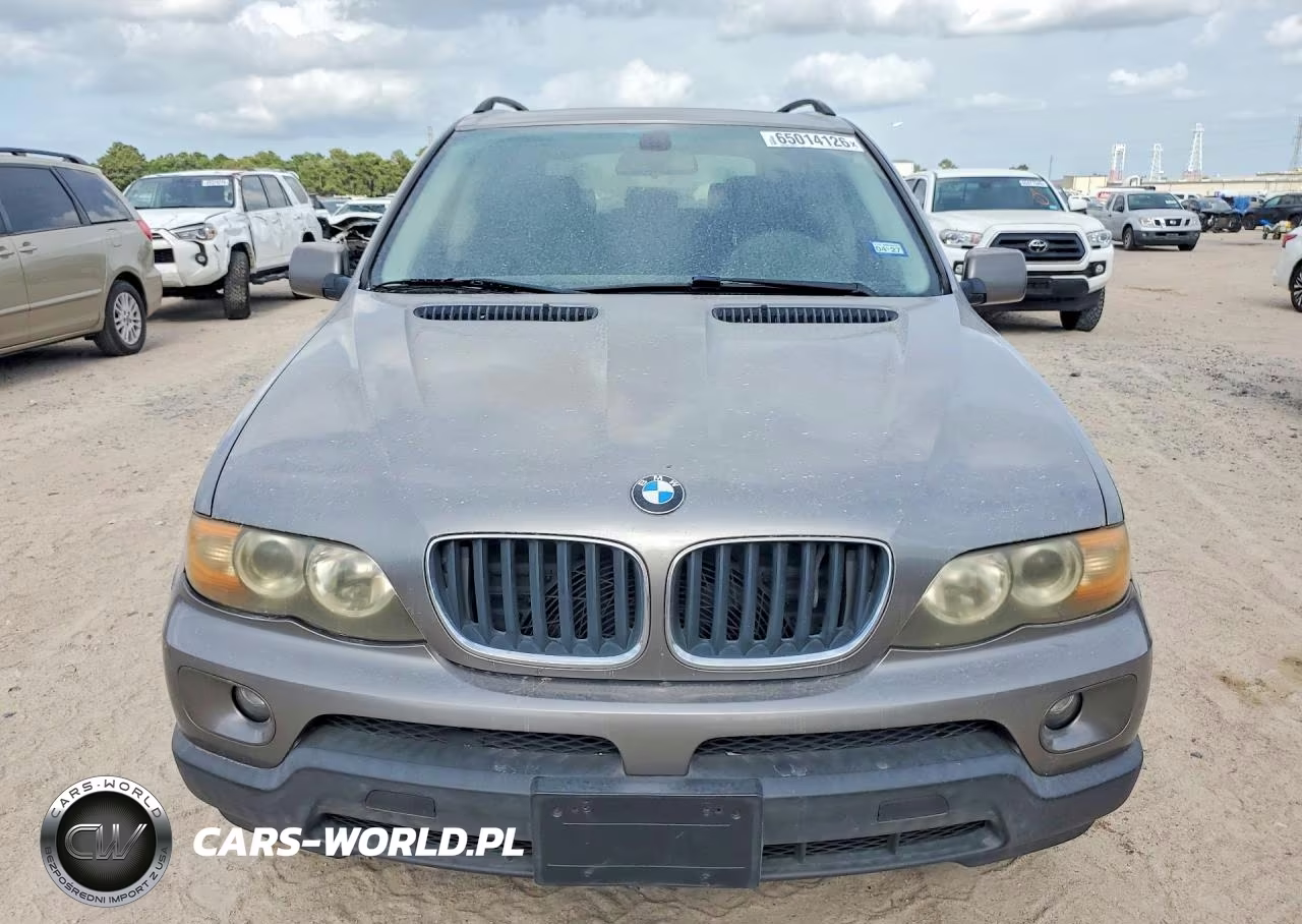 2006 BMW X5 3.0I VIN:5UXFA13556LY44321 - 5